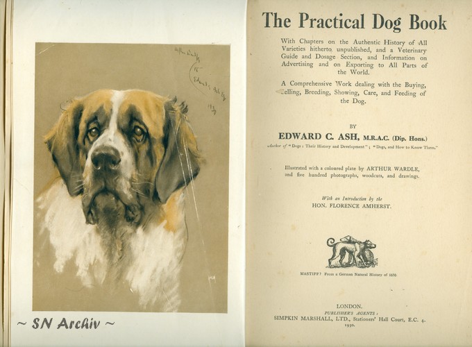 The Practical Dog Book 1930 Title