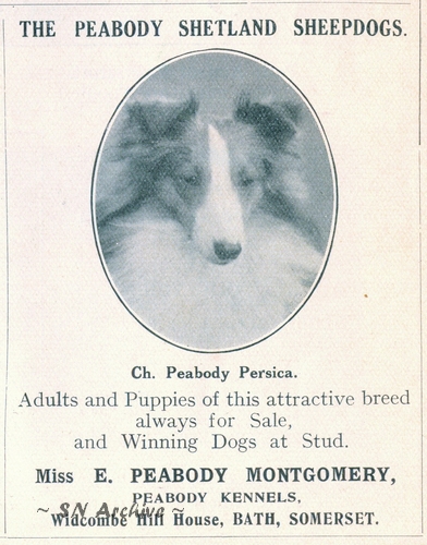 Peabody ad