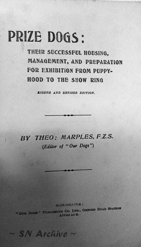 8th edition Prize Dogs