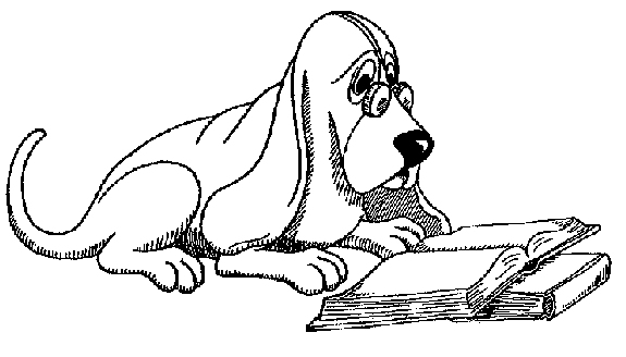 Dog reading