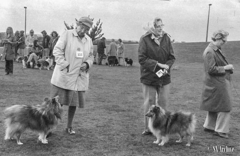 Misses F.Rogers, J. Herbert, M. Davis 22.11.1981 ESSC ch.show