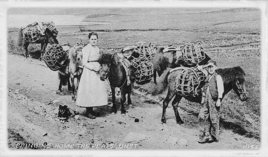 Postcard: Bringing Home The Peats, Unst