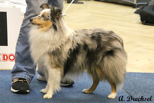 That's True Magic Little Rose Laxy