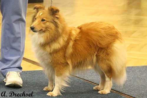 Filippa Fabelhaft vom Affinger Bach