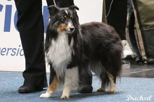 Bnita Hot Summer Girl