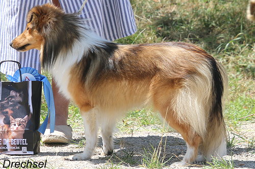 Jou Are in Love from Little Robin Hood