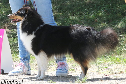 Jou Belong with Me from Little Robin Hood