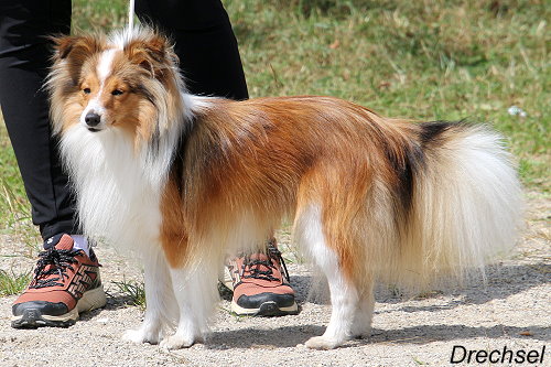 Xaver von den Vitalienbrüdern