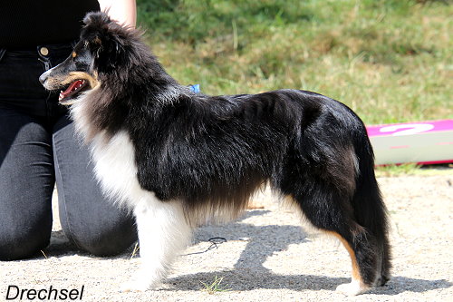 Xceed All Limits von der alten Birke