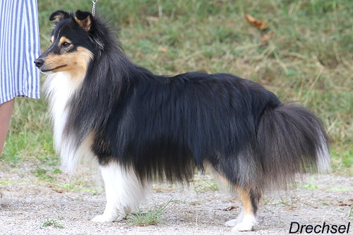 Inverey from little Robin Hood