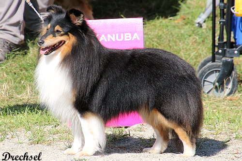 Tycancy Into The Dark