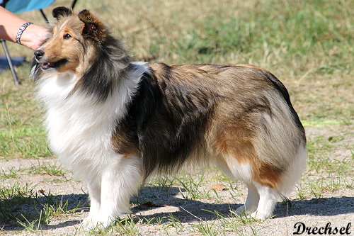 Gossip Girl Di Sutri