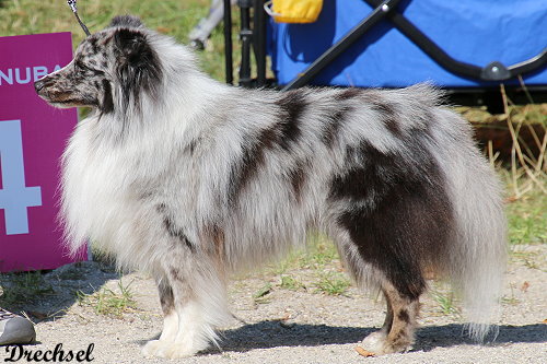 Nouki from my little Crazy Heart