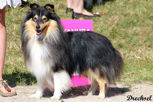 Inverey from Little Robin Hood