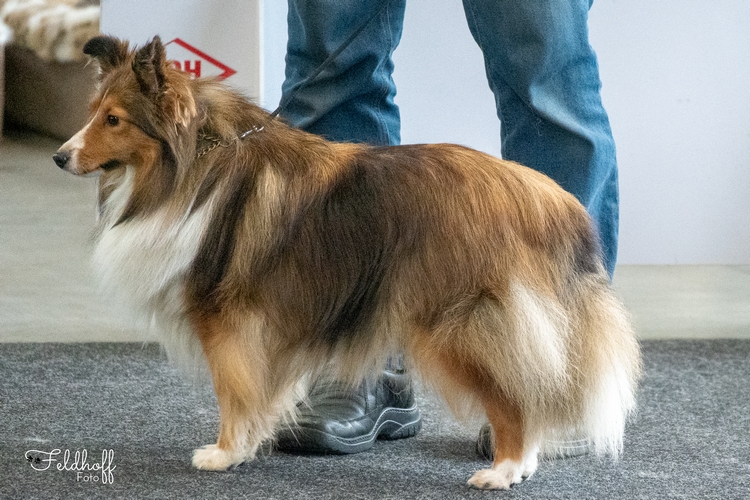 OKH Mystic Moonlight Candy von Shannon