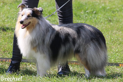 JKH Nic Pe's Heaven on Earth