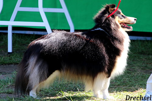 OKH Jess Limirle Janita