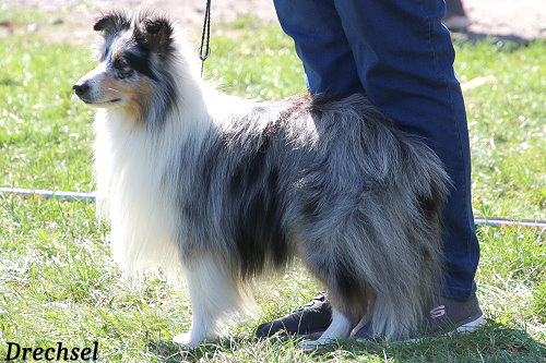 OKR Kampino von Hauschteckslust