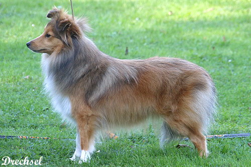 JKH Osaka vom Affinger Bach