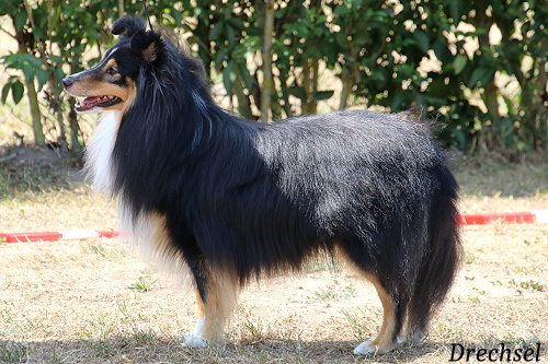 OKR Iomhair of powerful mind