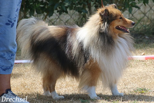 OKR Magical Heartbreakers Sailor