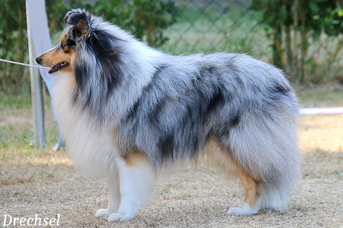 OKR Trust in me you make me Smile