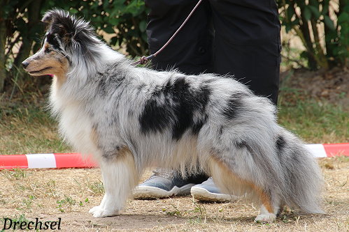 ZwKH Wild wings excuse me, I'm July