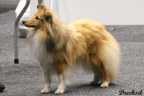 2026.03.14.Offenburg.JKH.Wendy von der Saarhöhe