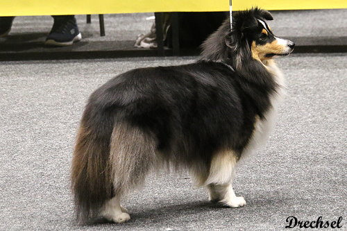 2026.03.14.Offenburg.OKH.Jess Limirle Janita