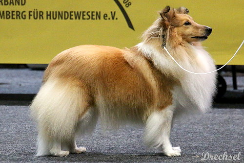 2026.03.15.Offenburg.ChKH.Sirius Lake Ukulele Hawaiian Symphony