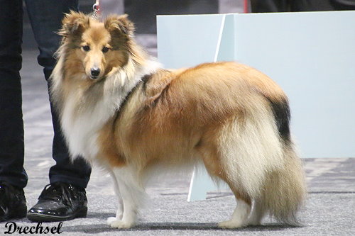 2026.03.15.Offenburg.JKH.Sirius Lake Angelina Jolie