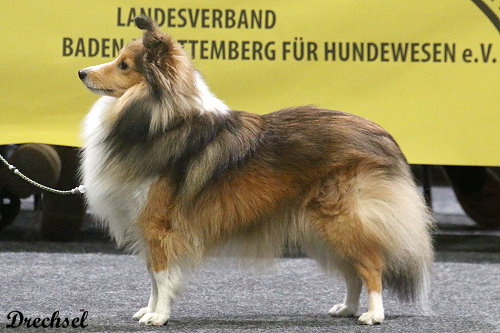 2026.03.15.Offenburg.ZwKH.Clara Herzogin vom Dornenfeld